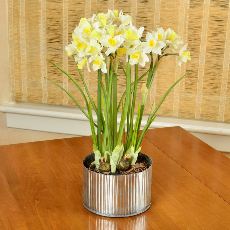 Picnic at Ascot Artificial Daffodils Flower in Planter & Reviews Wayfair